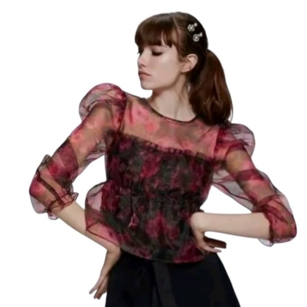 Zara Womens Red Floral Sheer Mesh Blouse M Puff SleeveWhimsigoth Dark Romantic